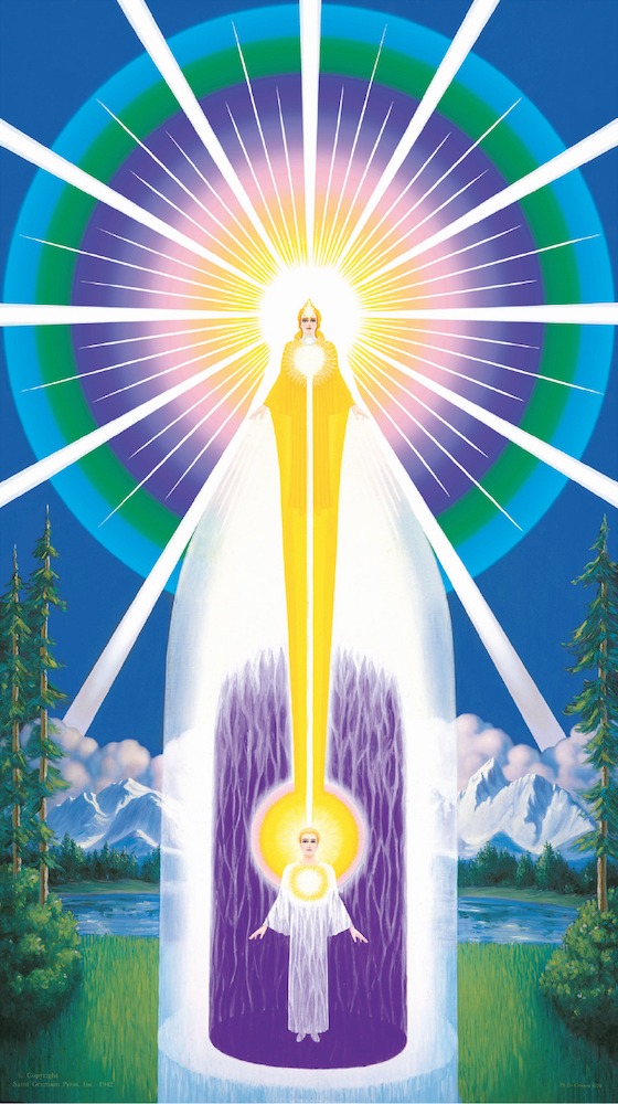 你一定要知道的諭令 Decree